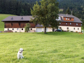 Kiblerhof Rußbach Am Paß Gschütt